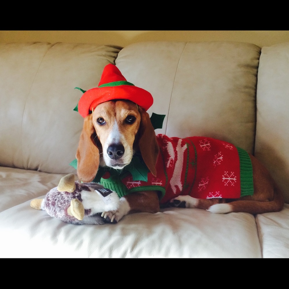 Meet your Posher, Elizabeth